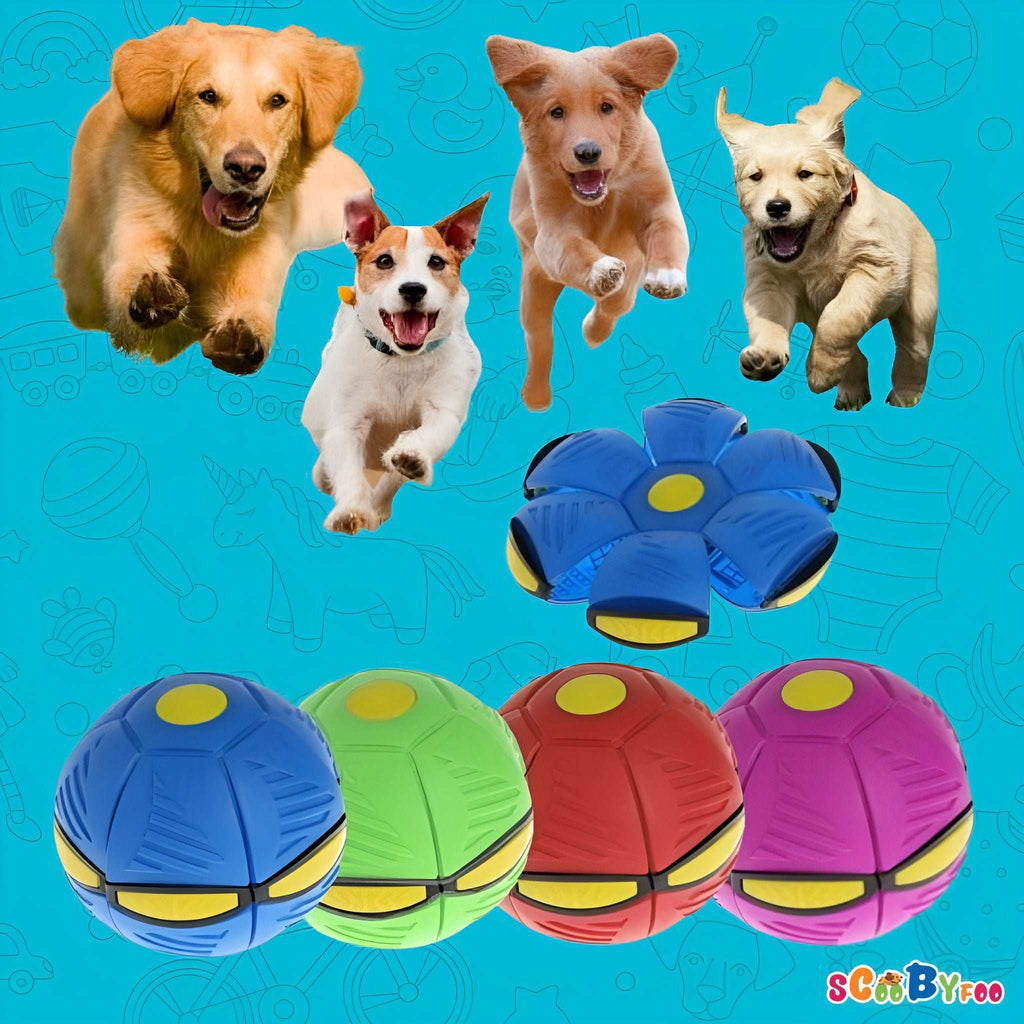 Scoobyball - 🥏🎁🐶